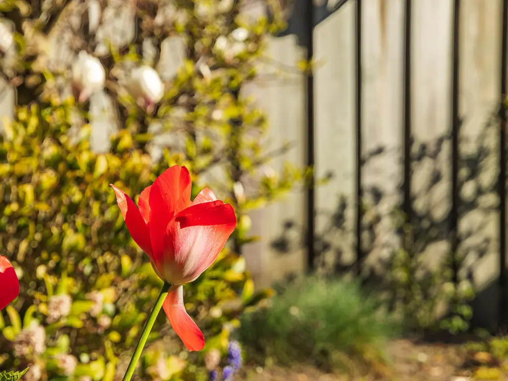 Brabantlaan 51, VUGHT