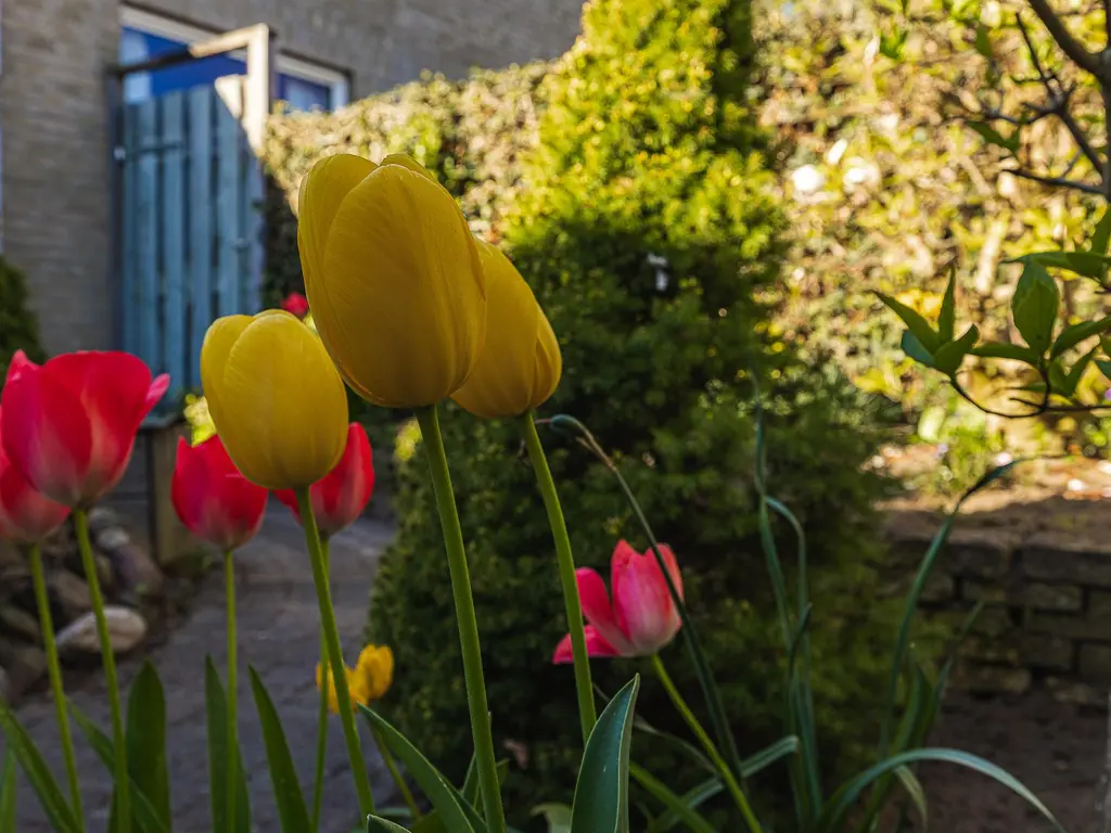 Brabantlaan 51, VUGHT