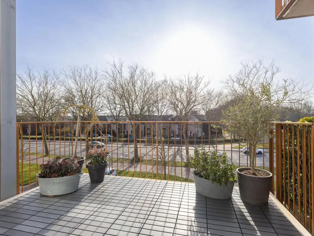 Kaap Hoorn 18, HOORN