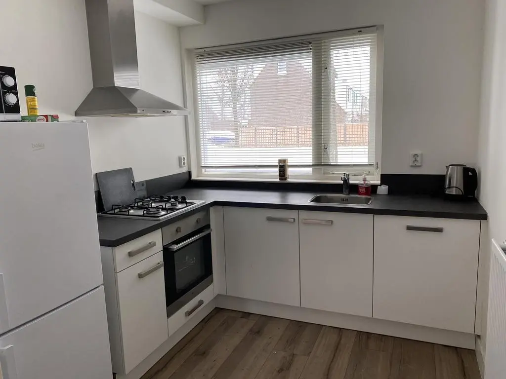 Hoefijzer 101, ZWAAG