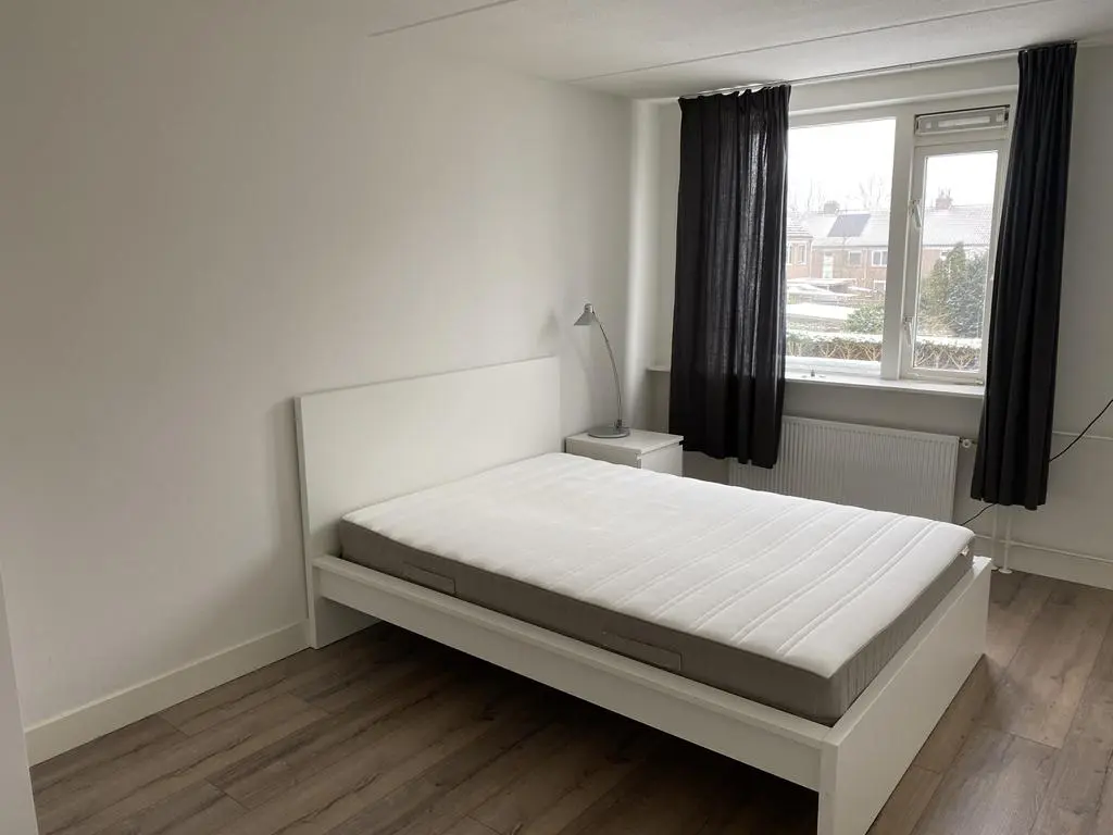 Hoefijzer 101, ZWAAG