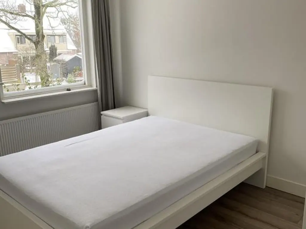 Hoefijzer 101, ZWAAG