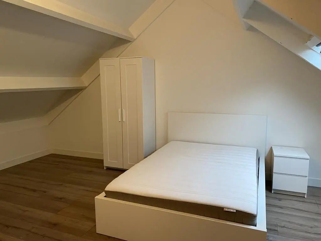 Hoefijzer 101, ZWAAG