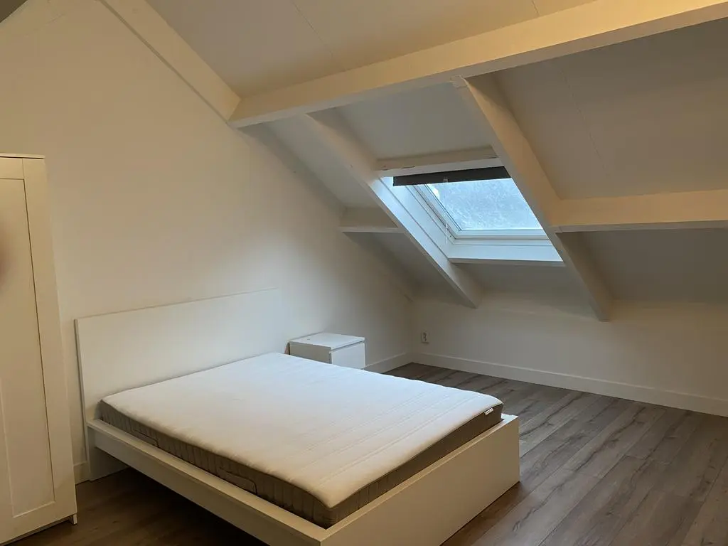 Hoefijzer 101, ZWAAG