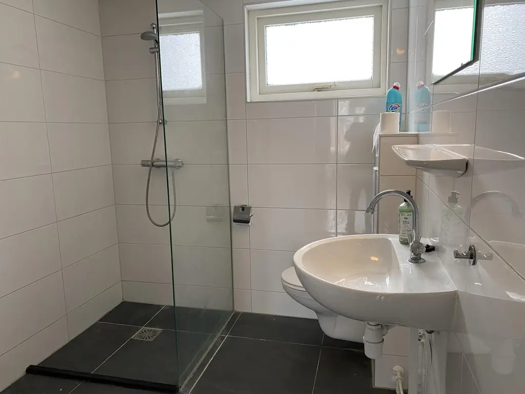 Hoefijzer 101, ZWAAG