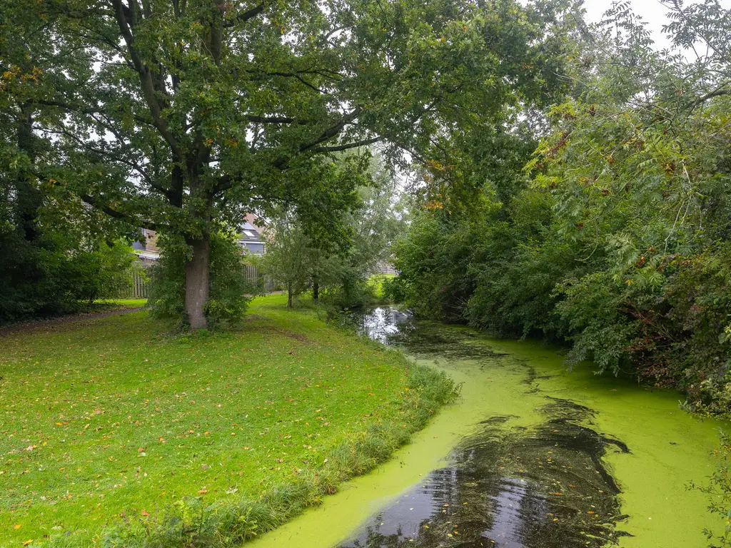 Kosterkring 18, ABBEKERK