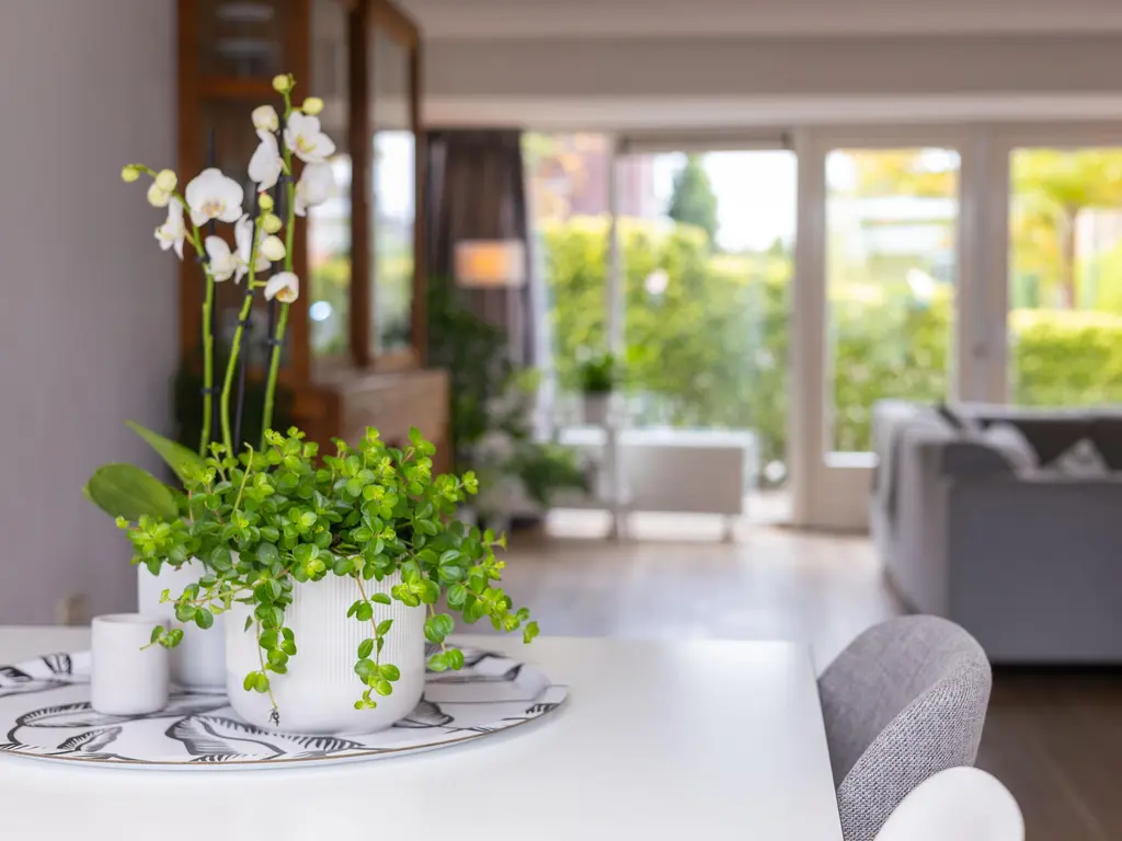 John Raedeckerhof 203, HOORN