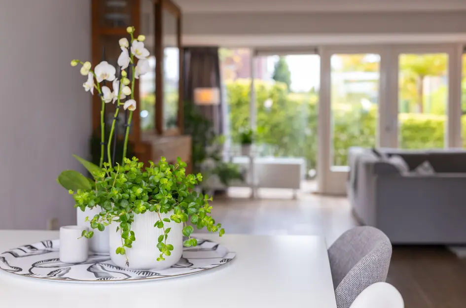 John Raedeckerhof 203