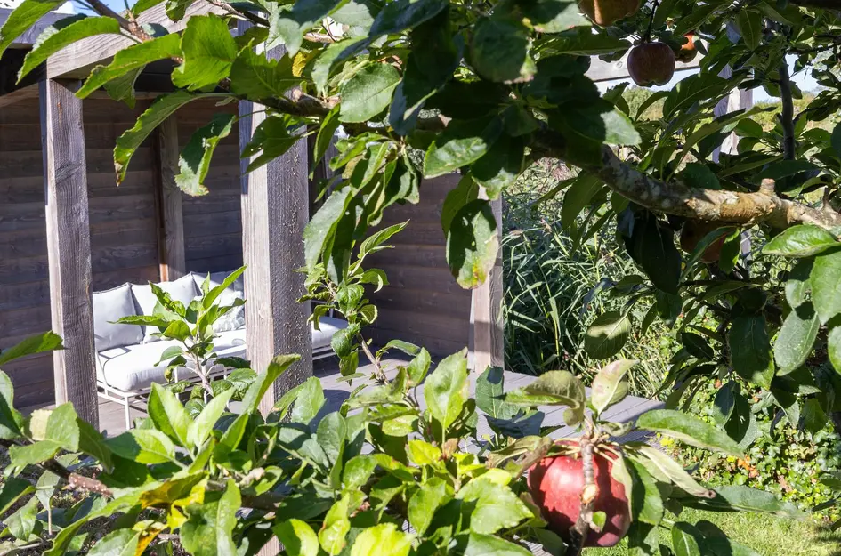 John Raedeckerhof 203