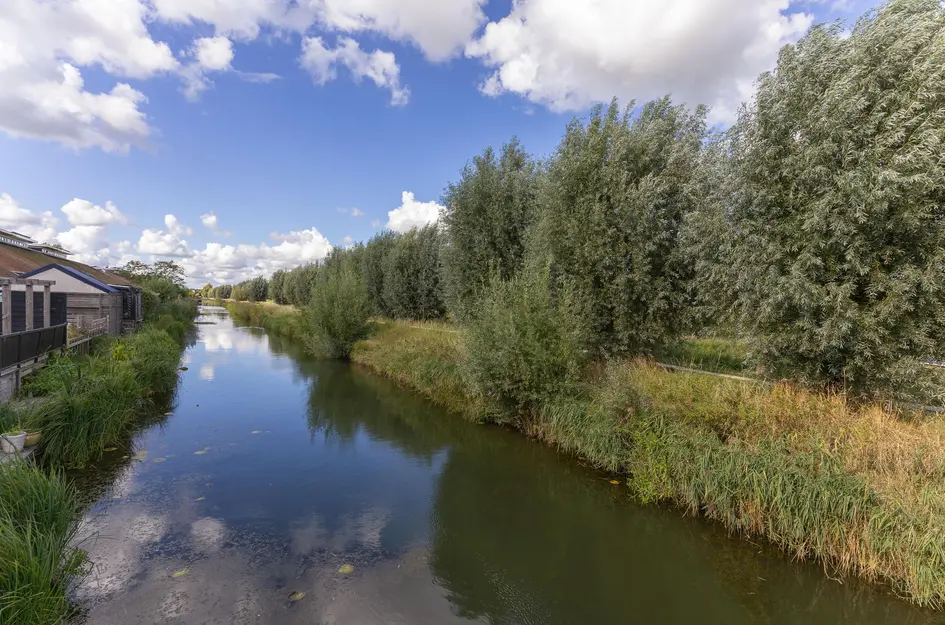 John Raedeckerhof 203