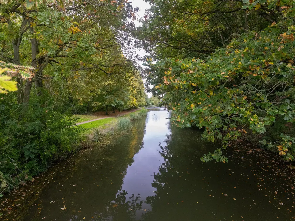 Bertus Aafjeshof 162, HOORN