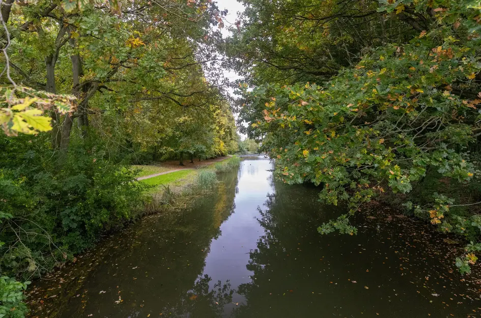 Bertus Aafjeshof 162