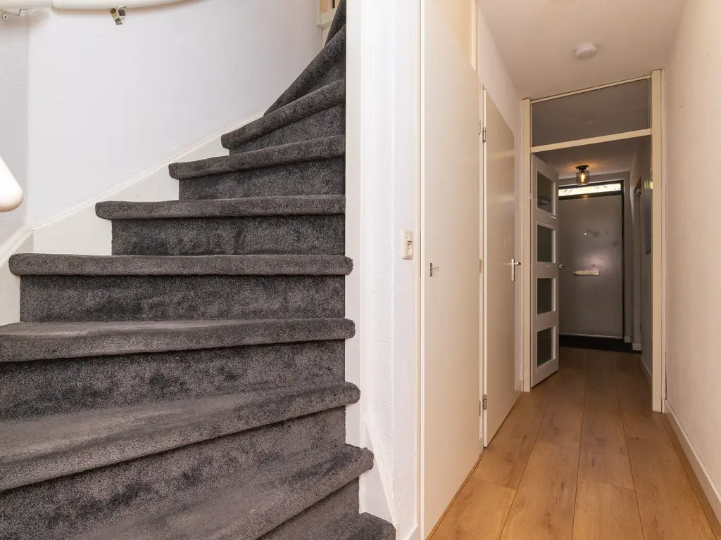 Bertus Aafjeshof 162, HOORN