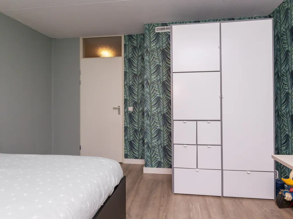 Bertus Aafjeshof 162, HOORN