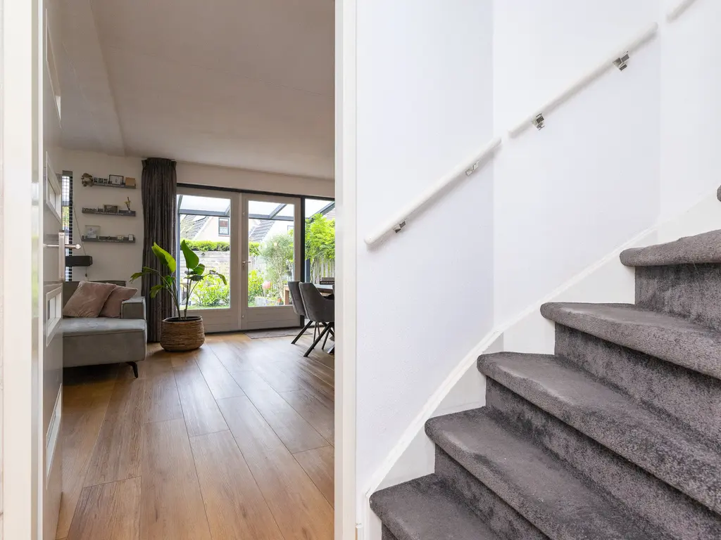 Bertus Aafjeshof 162, HOORN