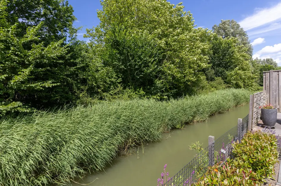 John Raedeckerhof 13