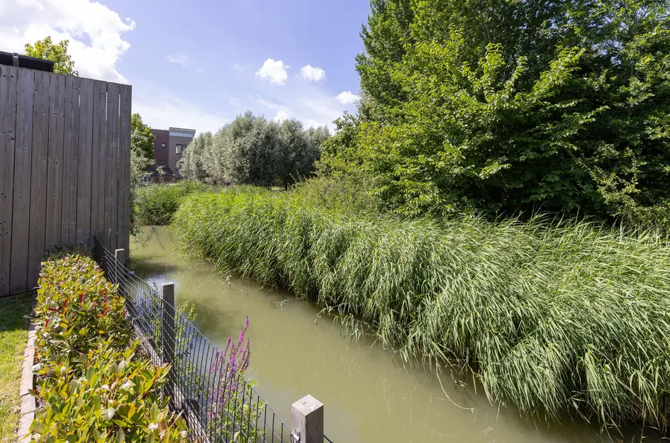 John Raedeckerhof 13