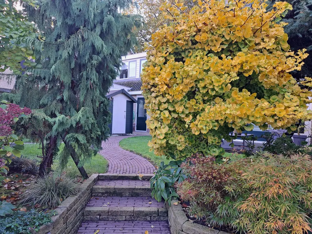 Plantage 55, BLOKKER