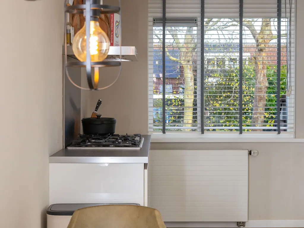 Houtzaagmolen 195, HOORN