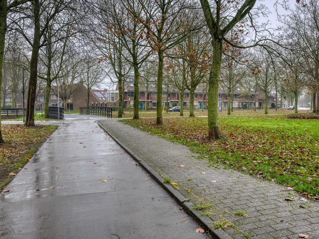 Nachtegaal 55, HOORN