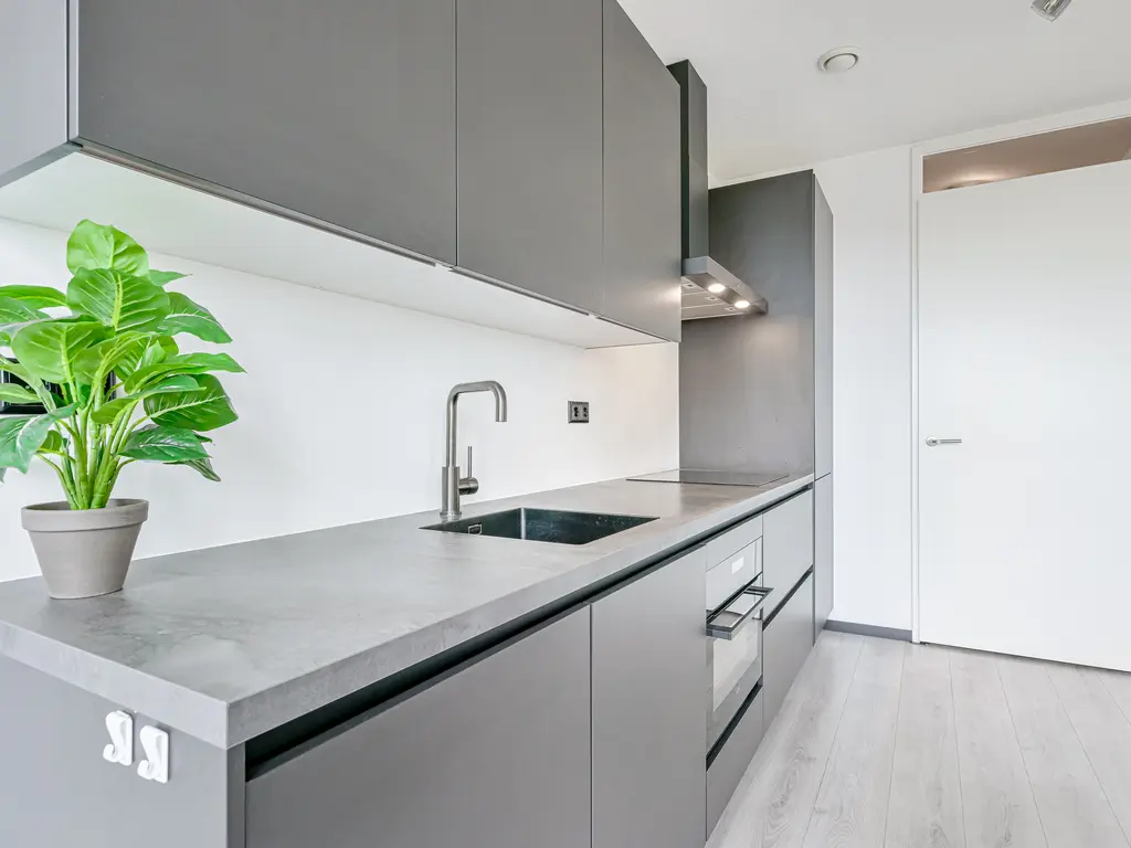 Lapis Lazuli 160, HEERHUGOWAARD