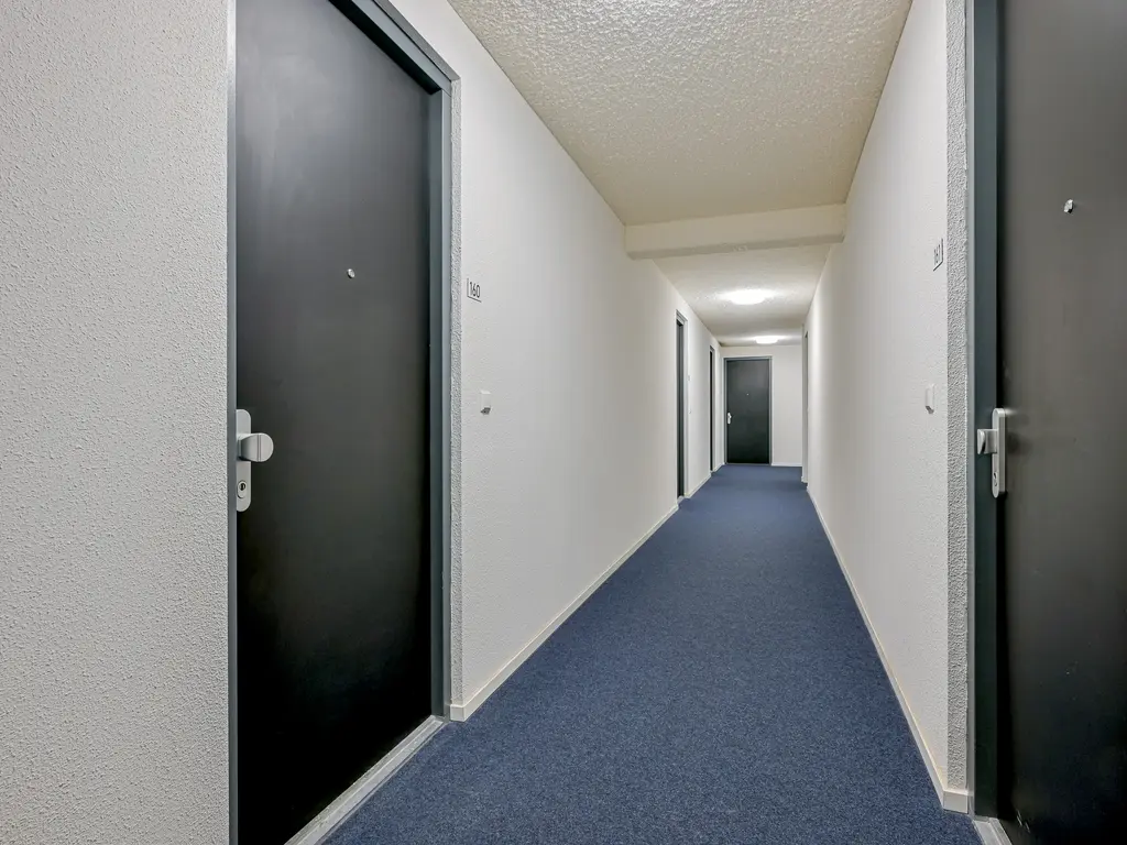 Lapis Lazuli 160, HEERHUGOWAARD