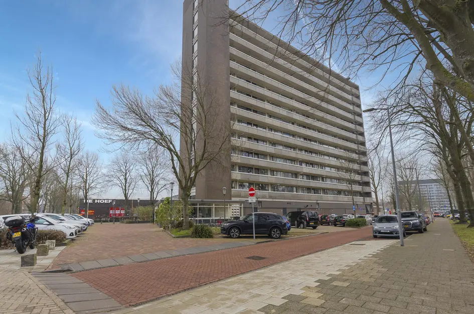 Judith Leysterstraat 53