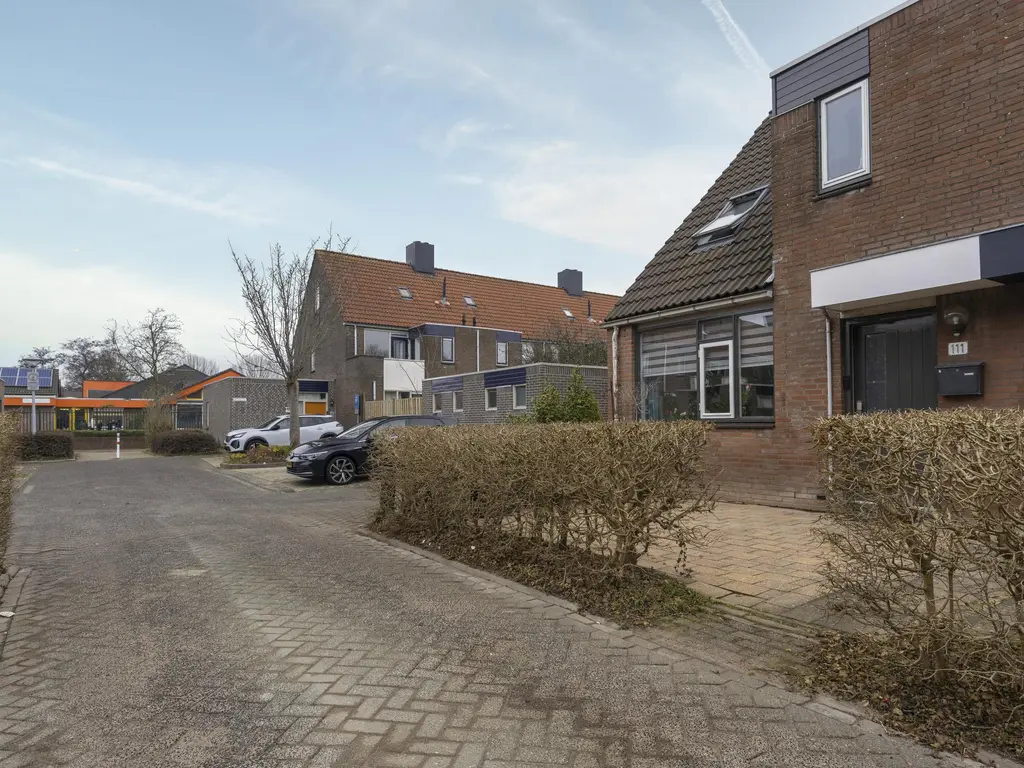 Boterbloem 111, ZWAAG