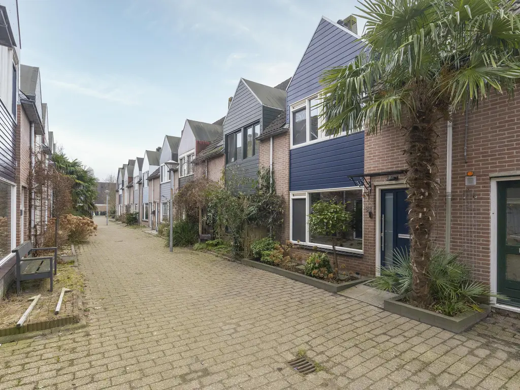 Ridderspoor 33, ZWAAG