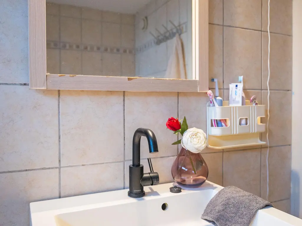 Ridderspoor 33, ZWAAG