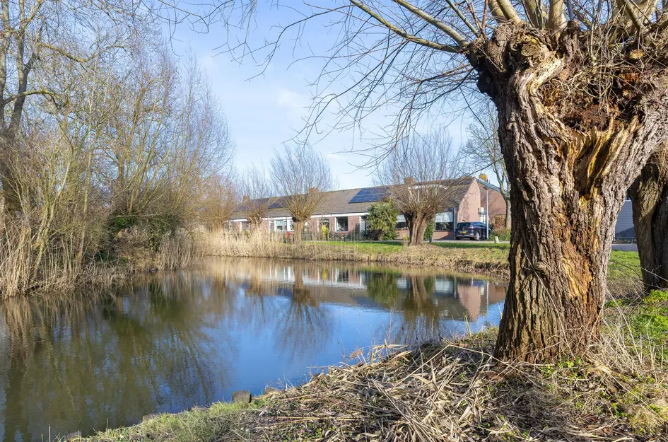 Pieter Wariuslaan 68