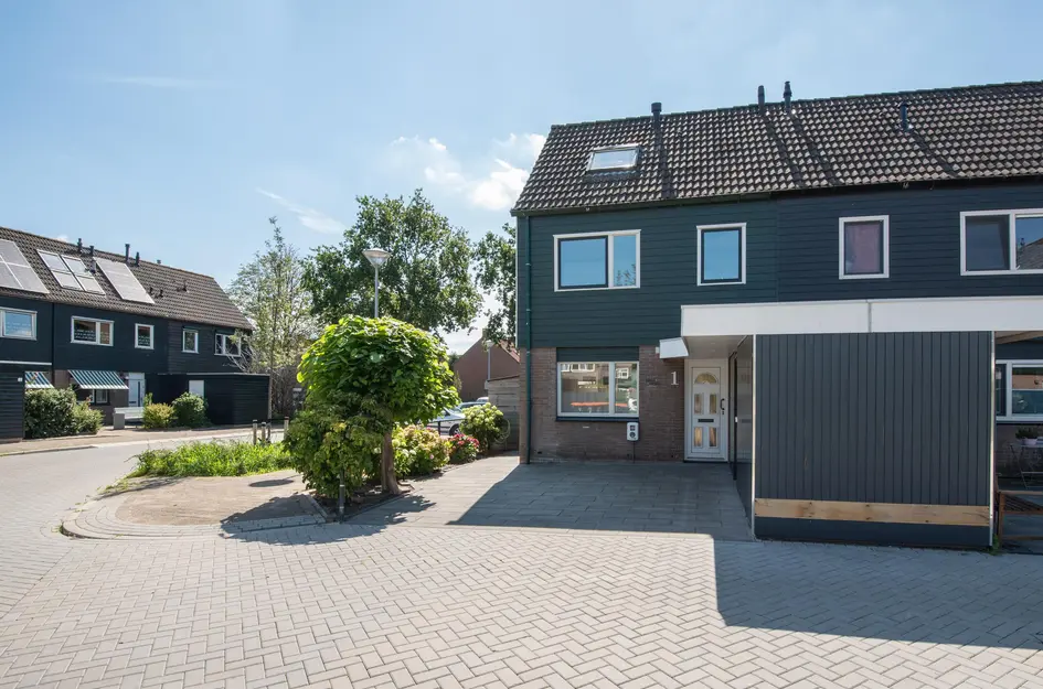 Zwanebloem 1