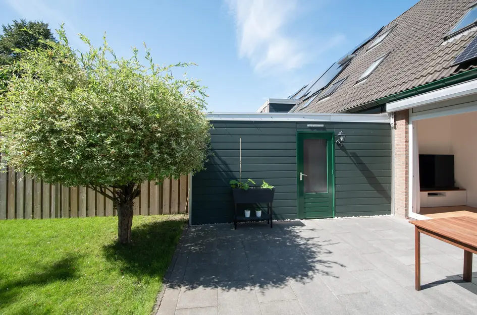 Zwanebloem 1