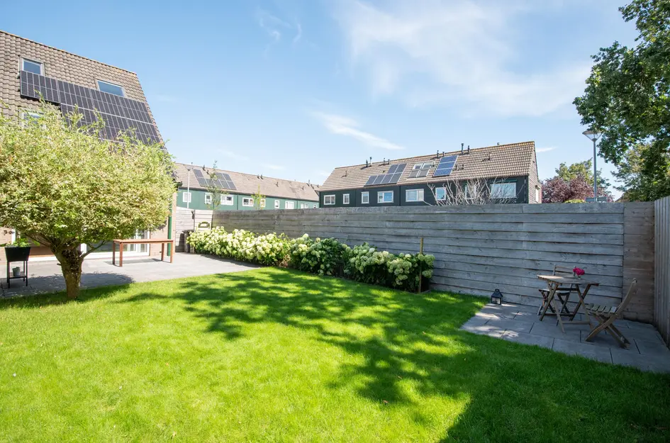 Zwanebloem 1