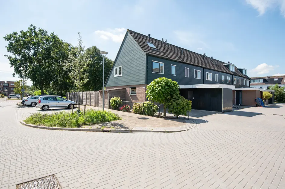 Zwanebloem 1