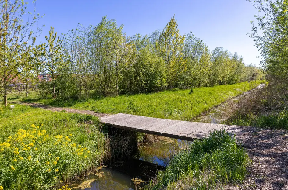 Stijgbeugel 71