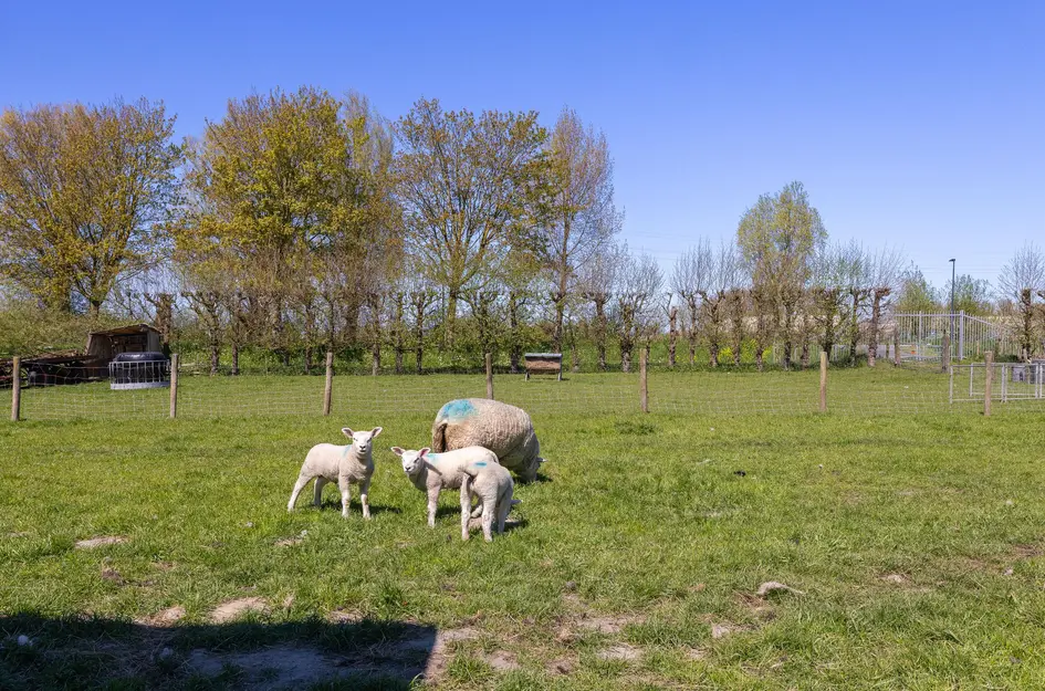 Stijgbeugel 71
