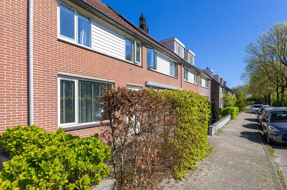 Nachtegaal 100