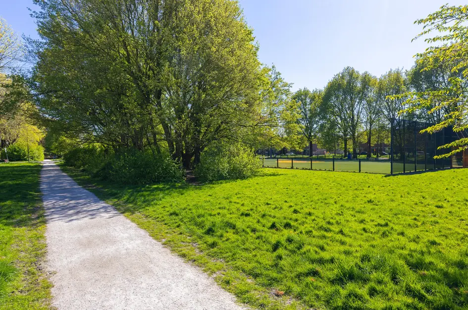 Nachtegaal 100
