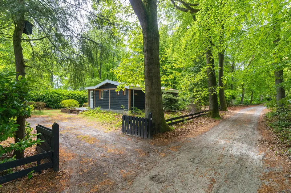 Beukenlaan Z 13