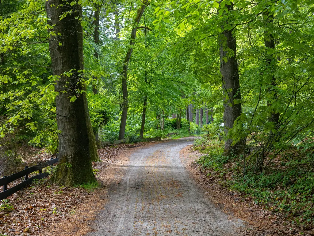 Beukenlaan Z 13, OUDEMIRDUM