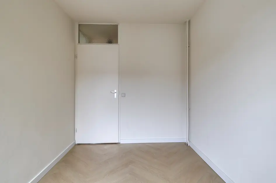 Koolmees 36