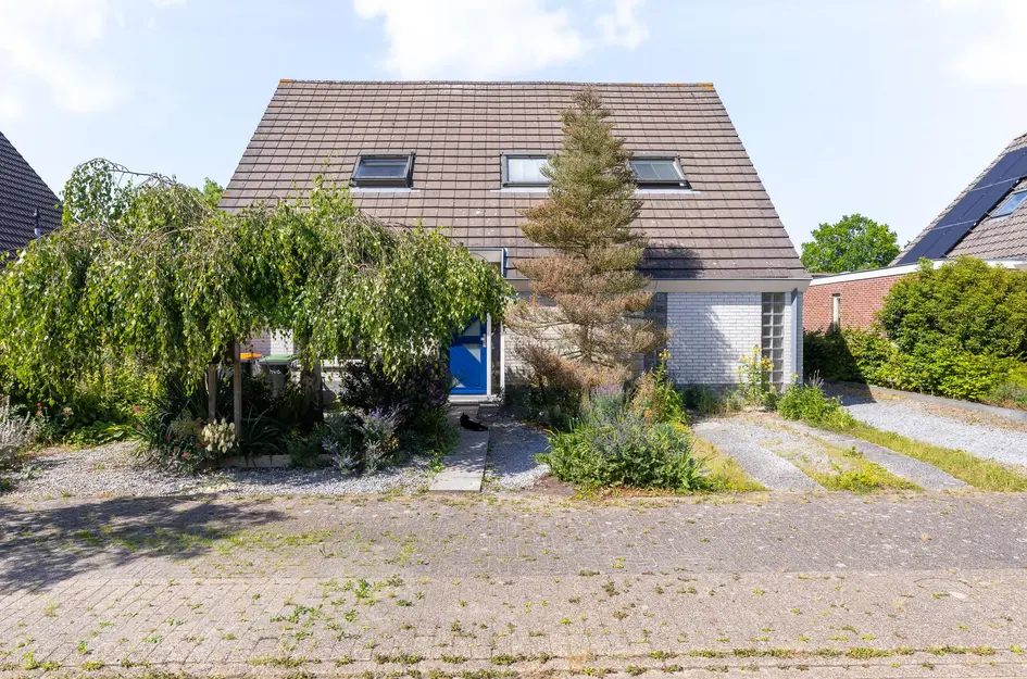 Koperwiek 4