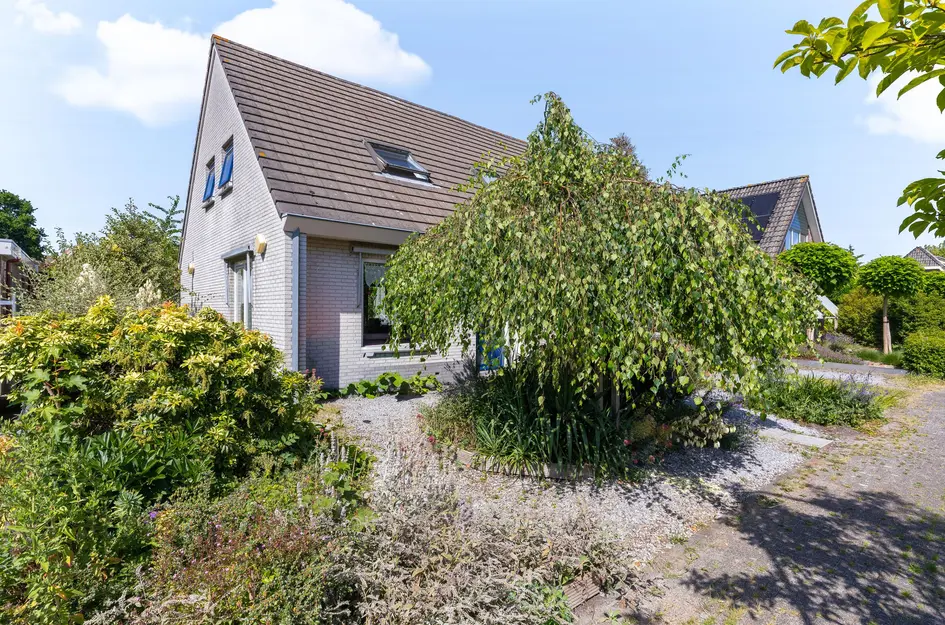 Koperwiek 4
