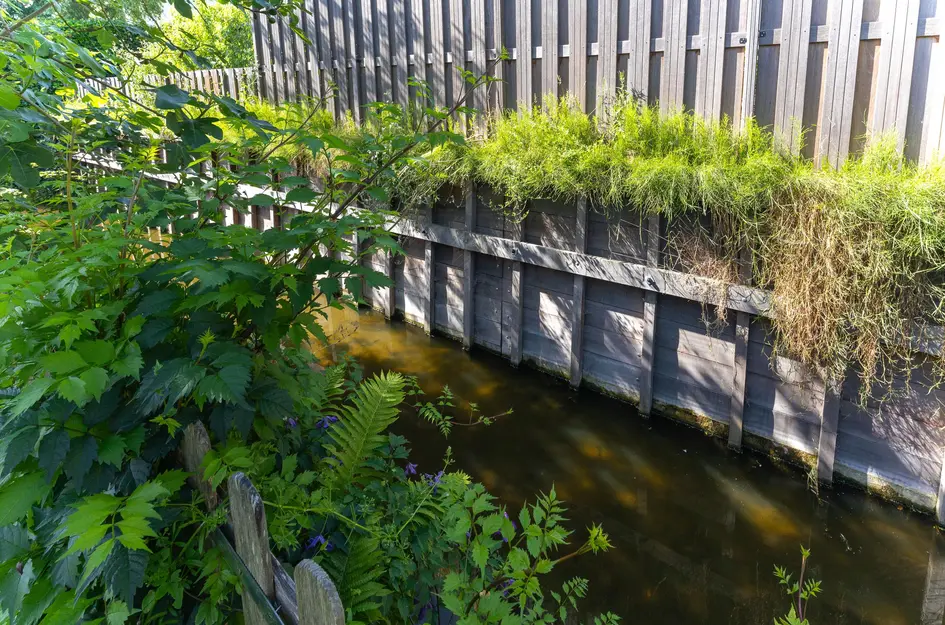 Koperwiek 4