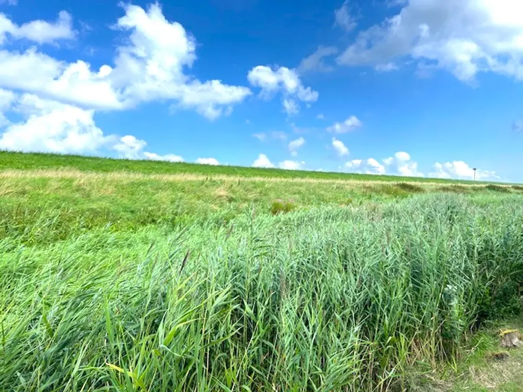 Proefpolder 194, Andijk