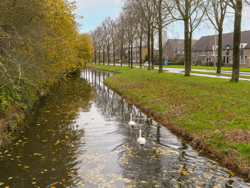 Paardenweide 142, ZWAAG