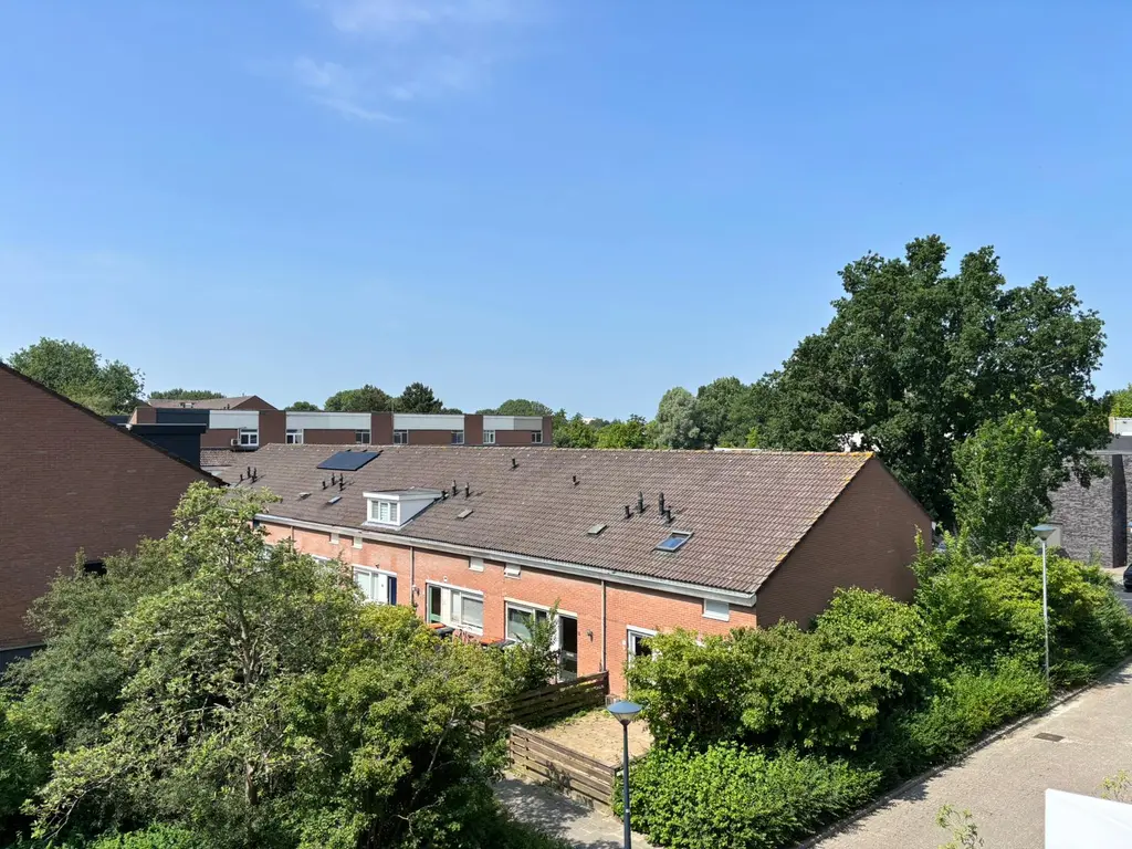Poolster 237, HOORN