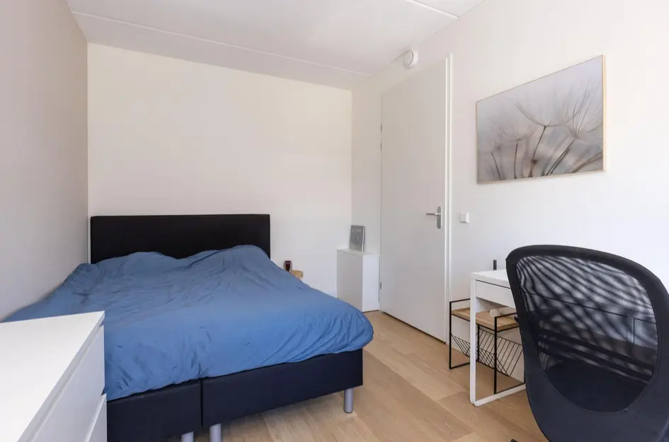 Elle Molstraat 33
