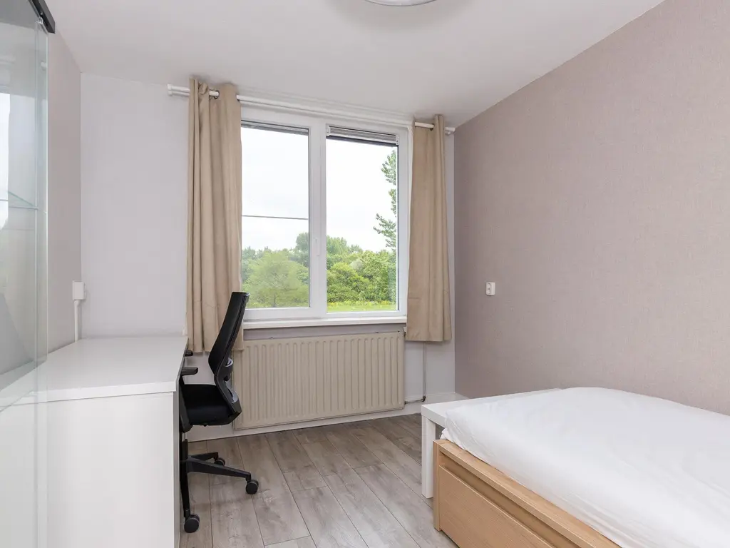 Oliemolen 142, HOORN